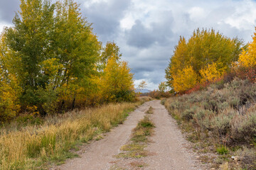 Fototapeta na wymiar Fall colors near Grand Teton National Park. USA.