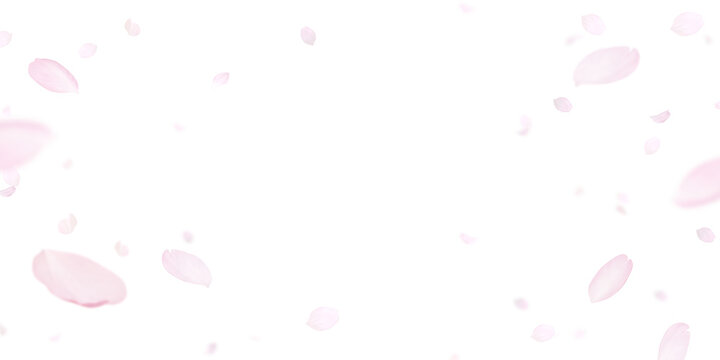 花びら Images – Browse 652,135 Stock Photos, Vectors, and Video