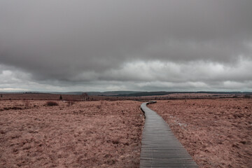 Stunning views of the nature park in high fens in Belgium (Eifel). An amazing wooden path along the nature. During autumn the grass is brown and the views are unbelievable.