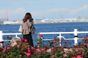 海辺の公園でスマホをいじる若い女性