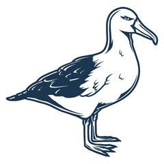 Seagull bird monochrome detailed logotype