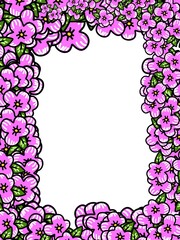 beautiful flower on white background