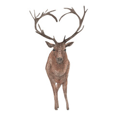 Naklejka na ściany i meble Watercolor cute forest animals.Deer. Hand-painted woodland wildlife.