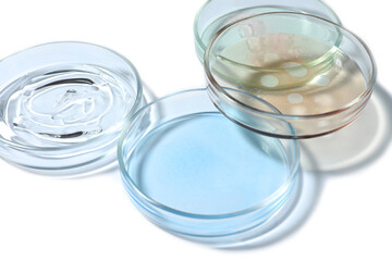 Petri dishes with color liquids on white background