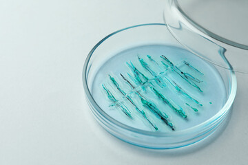 Petri dish with bacteria colony on white background, closeup. Space for text