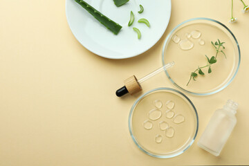 Flat lay composition with Petri dishes and plants on beige background. Space for text