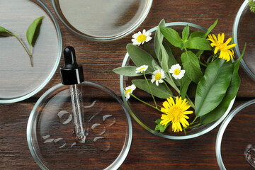 Flat lay composition with Petri dishes and plants on wooden table