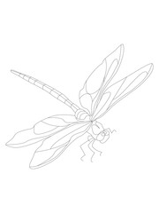 Dragonfly highlighted on white. Vector stock illustration. The silhouette of an insect.