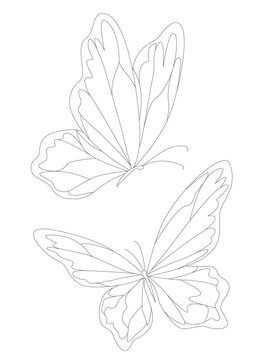 Butterflies. A set with a butterfly silhouette. Vector monochrome illustration isolated on a white background. Decorative design elements.