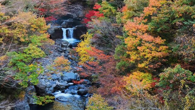 付知峡の紅葉（本谷橋からの眺め）