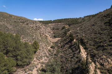 A ravine with bushes and trees