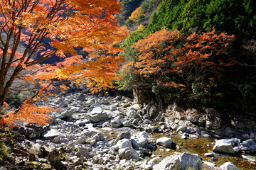 川迫川渓谷の秋