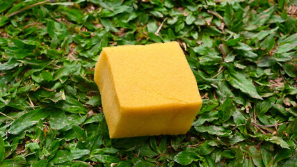 cleaners, detergents, household cleaning sponge for cleaning on grass