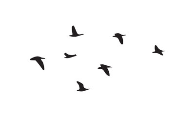 Flying Birds Silhouette 