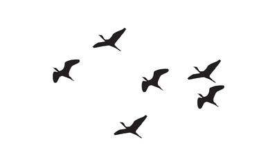 Flying Birds Silhouette 