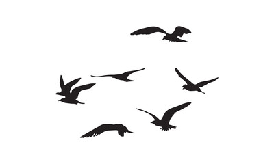 Flying Birds Silhouette 