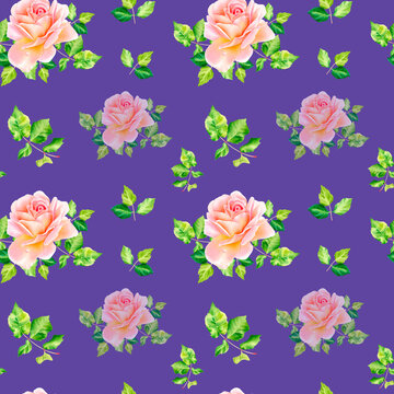 A pattern of roses on a blue background. Watercolor illustration. Textile. Botany.