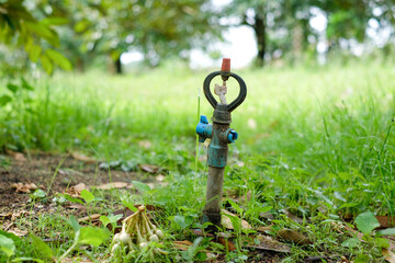 Spring is used to spray water in the garden.