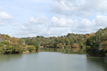 空と湖と秋の森(日本)
