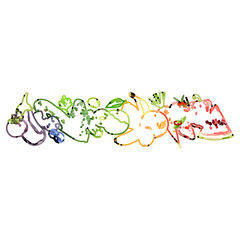 Sketches of colorful fruit drawings for dining room decoration and coloring contests