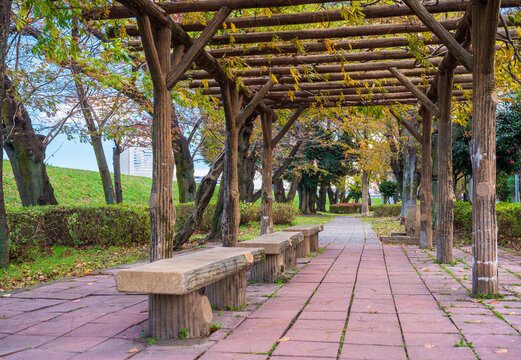 「働き盛り」の画像 147,790 件の Stock 写真、ベクターおよびビデオ Adobe Stock