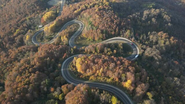 Aerial view of road amidst trees during autumn	