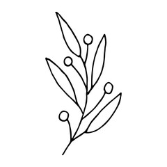 Hand drawn branch with berries and leaves. Christmas doodle. Winter clipart. Single design element
