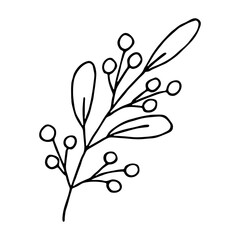 Hand drawn branch with berries and leaves. Christmas doodle. Winter clipart. Single design element
