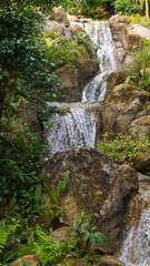 Fototapeta na wymiar Waterfalls amid the grass and trees 