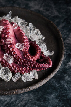 Cooked octopus on plate with ice
