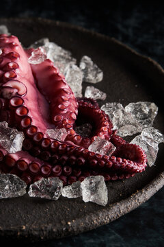 Cooked octopus on plate with ice