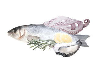 Watercolor illustration of raw fish sea bass, octopus and oyster isolated on white background