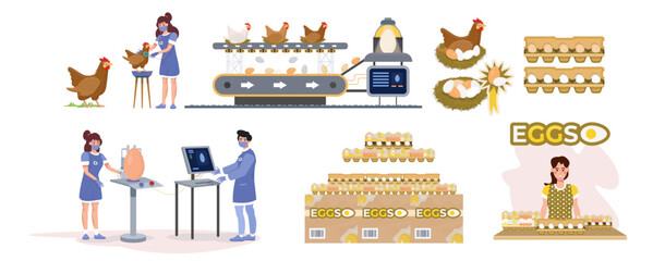 Egg production process. Set, collection. Infographic. Industrial process from hen, to eggs, packaging and distribution. Chicken poultry plant factory. Flat vector illustration. Poster, banner.