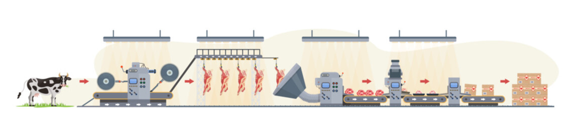 Beef production infographic. Meat production process. Industrial line from cow, meat storage, processing, packaging, distribution. Food manufacturing factory, plant. Concept. vector illustration. 