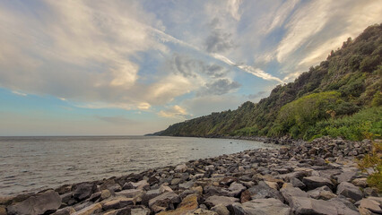 Seascape with trees and rocks on the coast.