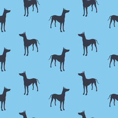 Standing pharaoh hound isolated on blue background. Seamless pattern. Dog silhouette. Endless texture. Design for wallpaper, wrapping paper, fabric.