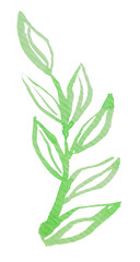 Watercolor green herb hand painted, PNG clipart isolated on transparent background