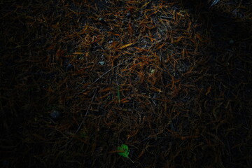 screen looping animated background