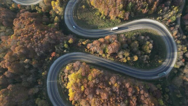 Aerial view of road amidst trees during autumn	