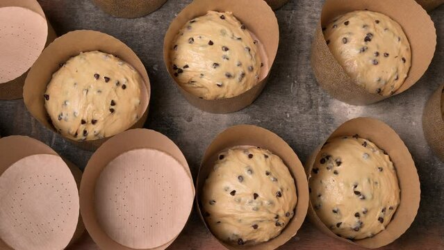 Artisan italian baker putting panettone christmas cake dough into molds. High quality 4k footage