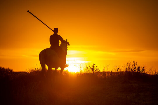 Camargue