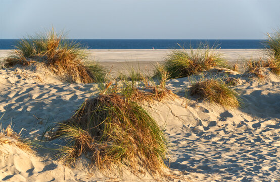 D&uuml;nen Insel Borkum