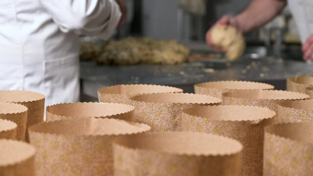 Artisan italian baker putting panettone christmas cake dough into molds. High quality 4k footage