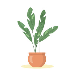 green houseplant in a clay pot- vector illustration