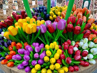Fototapeta premium red and yellow tulips in Amsterdam market