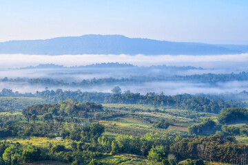 landscape with fog