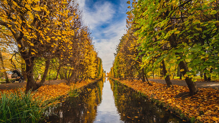 Park in Oliwa, Gdansk, on a beautiful autumn day. Colorful leaves and a great atmosphere.