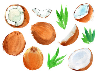 Watercolor set with coconut.