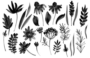 Black and white seamless pattern with flowers on white background. Watercolor illustration.