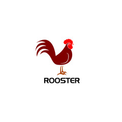 Rooster bird icon logo isolated on white background
